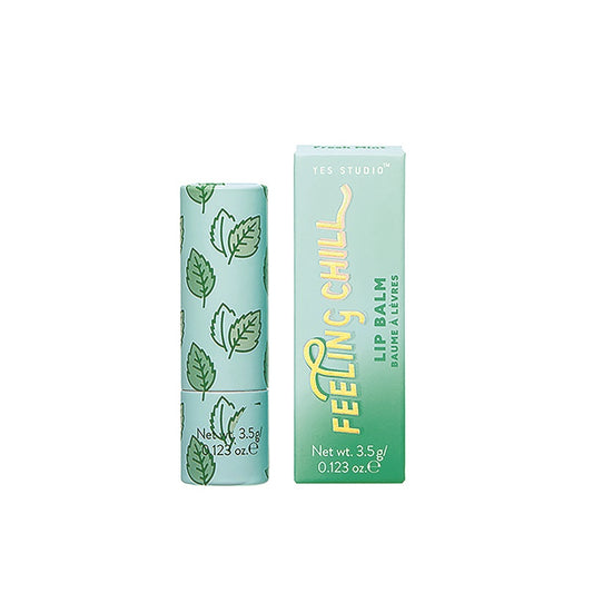 Fresh Mint Vegan Balm ενυδάτωσης χειλιών 3.5g