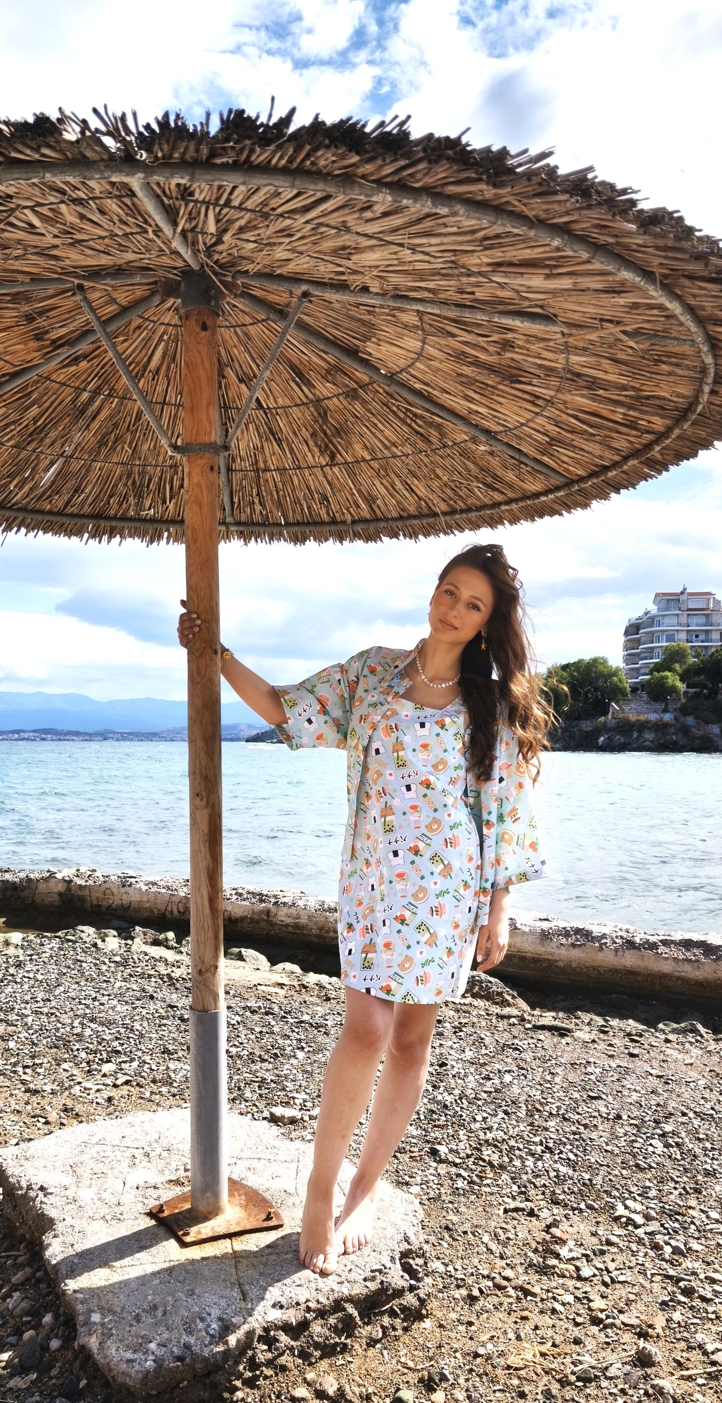 SUSHI SKATER DRESS