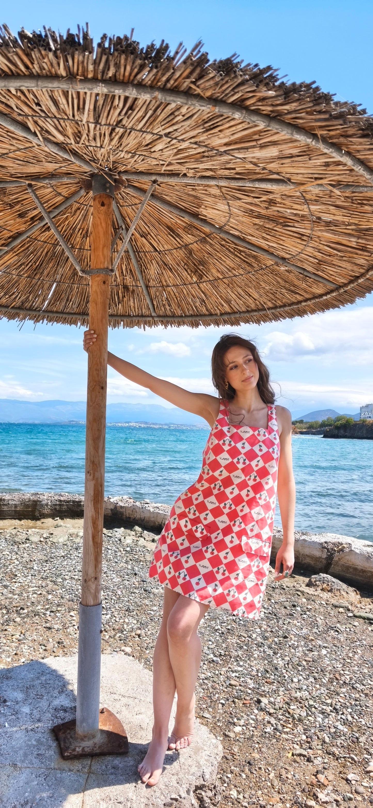 CHERRY SKATER DRESS