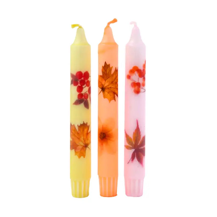 ΚΕΡΙ ¨Wildflowers¨